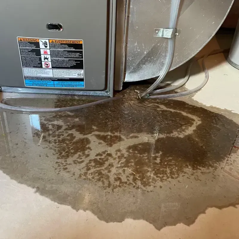 Appliance Leak Cleanup in Portsmouth, NH